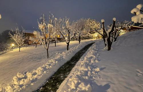 L'Armonia della natura, paluvacanze - Foto 52