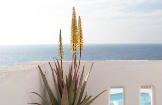 Villa Athina - Foto 42