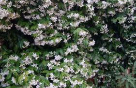 Apartments Merlin - Foto 19