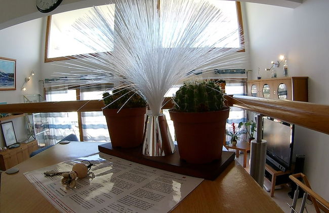 Casa da Buzina - Foto 3