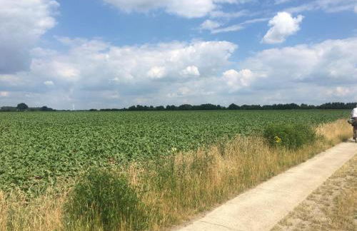 Sonnenschein - Foto 25