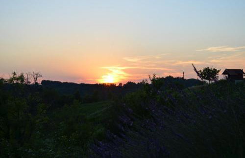 GREENHILLS Relax & Holiday House - Foto 59