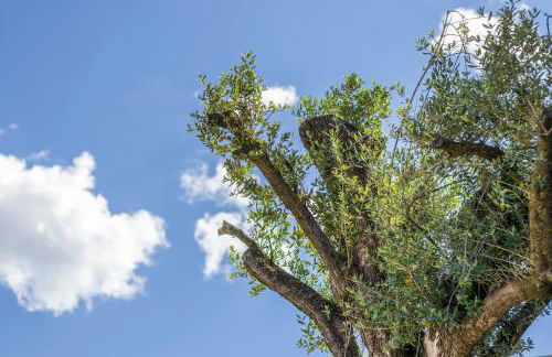 Residenza Cinisca - Foto 25