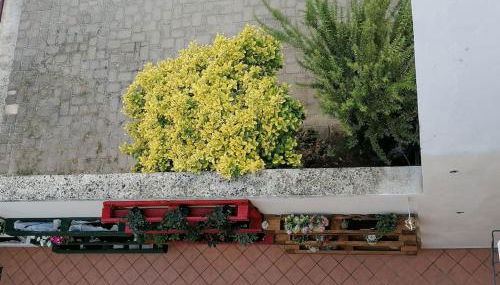 Nest of love - Foto 3