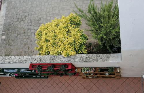 Nest of love - Foto 3