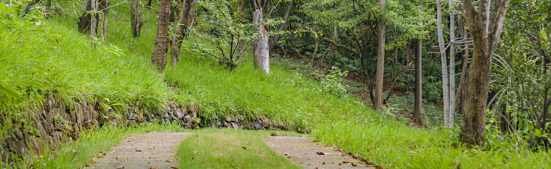 Guayaquil Botanical Garden Tour - Foto 1