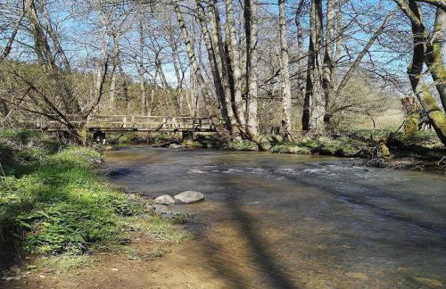 Forest Haven in Filz - Foto 33