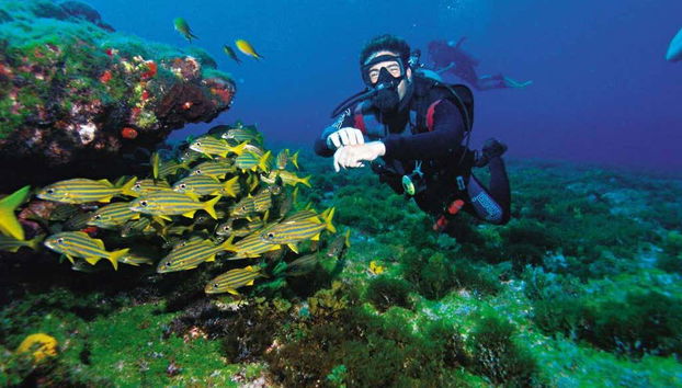 Exploring the seafloor of Arraial do Cabo