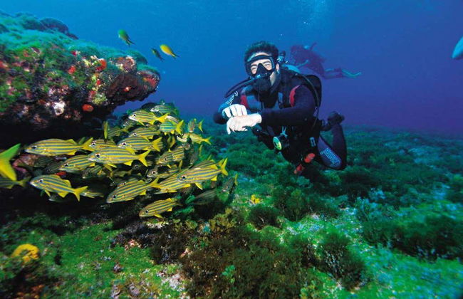 Arraial do Cabo Diving Introduction - Photo 6