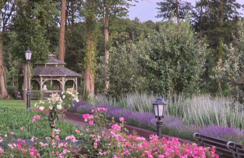 RZĄDCÓWKA Rogi - Foto 15