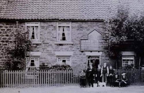 The Tree House - Foto 21