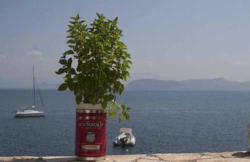 KIVERI 1876 traditional seafront cottage - Photo 65