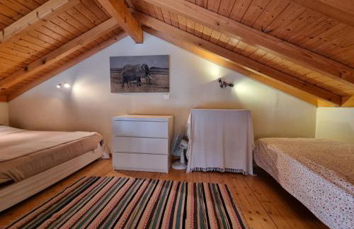 Gecko Pego Longo - Foto 42