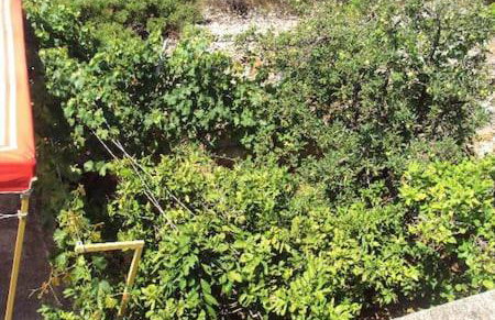 Extra Spacious Seaview Apartments close to the beach, with large terraces and FREE WI-FI & AC & BBQ & parking space - Foto 42