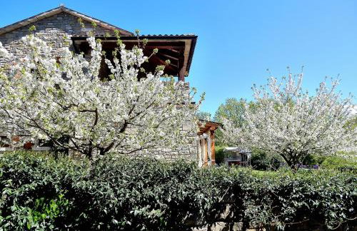 Holiday Home Casa Dei Farfui - Foto 24