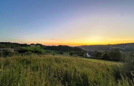 Schön Hier - im Harz - Foto 31