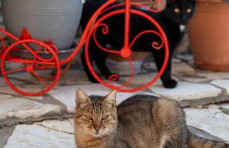 Amelie Sea View Apartments - Foto 49