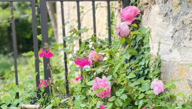 Moulin Dorceau - 15 couchages - voir notre site - Foto 4