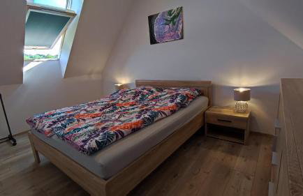 Blu Raj - domy w Sudetach - Foto 36