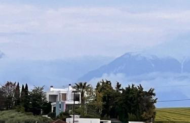 Modern House Ancient Pydna - Foto 22