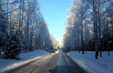 Dom Mossa - Photo 53