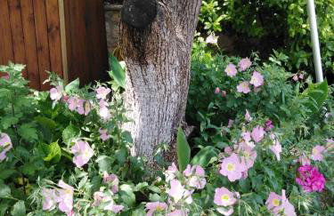 Villa Dimitra Nikiana - Photo 10