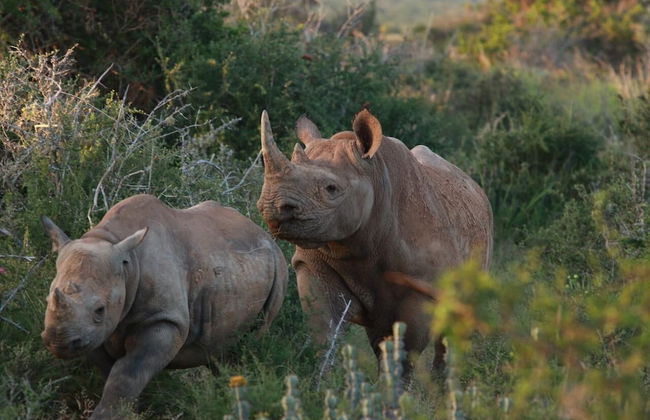 Uplands Homestead - Photo 33