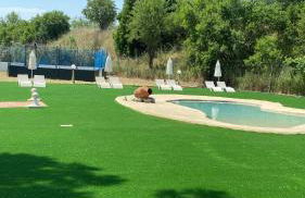 Alojamiento Rural Los Cortados - Foto 9