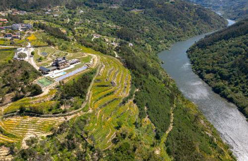 Quinta de Cabanas Douro Country House - Foto 49