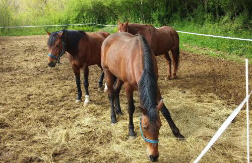 Waterfall House Getaway - Photo 32