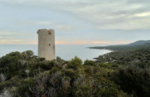 Attico mit Meerblick - Photo 23