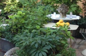 Albergo Residence Perosi - Foto 12