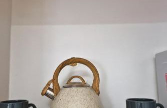 Studio Privativo prox Centro, Praia Clube, c Ar condic e c Garagem - Foto 10