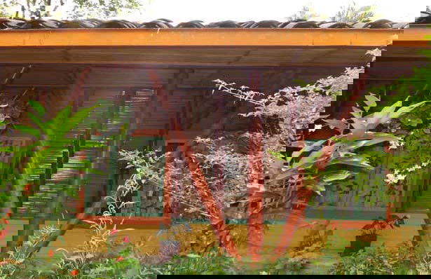 Visite de la ferme de Mama Lulu - Photo 6