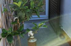 Oltre l'essenza del mare - Foto 37