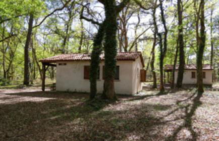 CAP VILLAGE - Foto 20