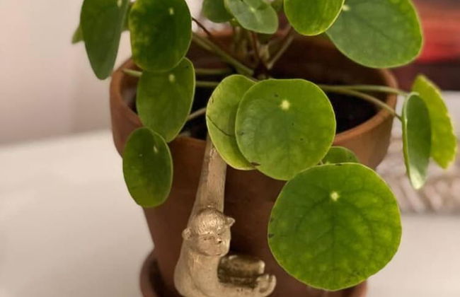 Stylish Studio Flat Near Central London - Foto 39