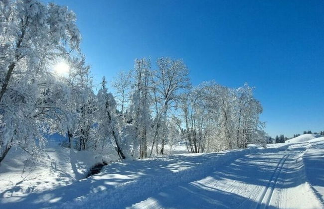 Kirsch Comfortable Holiday Residence - Photo 18