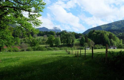 Am Jenbach - Foto 40