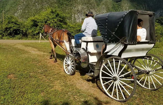 Viñales Valley Carriage Ride - Photo 2
