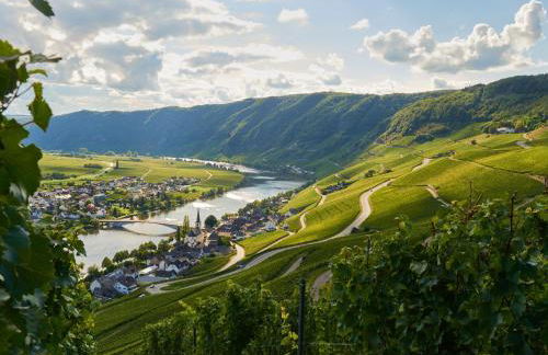 Rochter Apartments - Foto 18