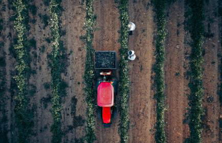 Finca Es Cabas - Foto 29