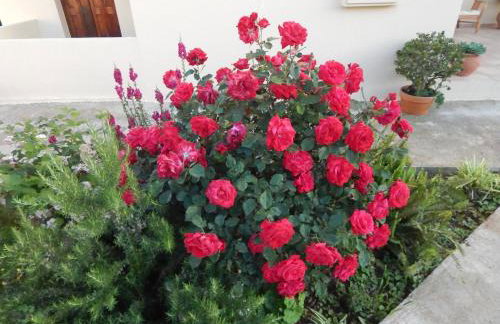 Kaina Villa - Foto 30