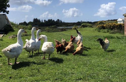 Captivating 2-bed Static Caravan on Private Land - Foto 33