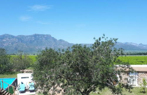 El Establo - Foto 15