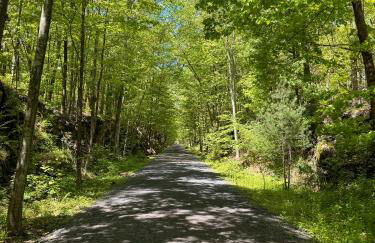 Beautiful Charming Cottage 4 min from Woodstock - Foto 49