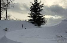 Dom Gościnny Zarembianka - Foto 54