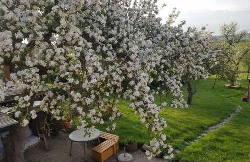 Sonnenhaus Oppenhausen - Foto 49