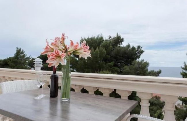 Apartments Villa Dingac - Borak - Photo 49