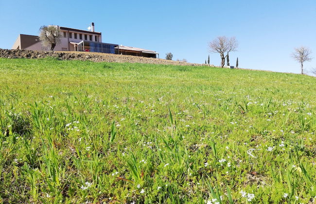 Agriturismo Le Piccole Macie - Photo 38